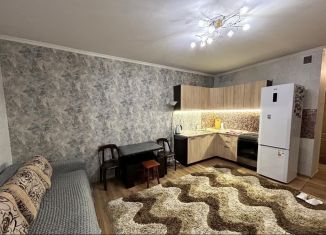 Аренда 1-комнатной квартиры, 33 м2, деревня Павлино, деревня Павлино, 69