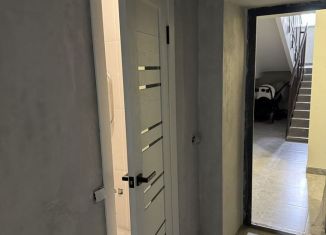 Продается квартира студия, 27 м2, село Чигири, Красивая улица, 23