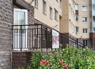 Сдам в аренду квартиру студию, 27 м2, деревня Новое Девяткино, Флотская улица, 9