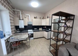 Сдается в аренду 1-комнатная квартира, 43 м2, Аксай, улица Строителей, 4к3