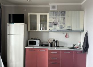 Сдается в аренду квартира студия, 37 м2, Омск, Пригородная улица, ЖК На Андрианова