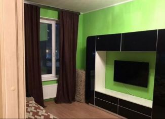 Сдаю в аренду однокомнатную квартиру, 37 м2, Мурино, Воронцовский бульвар, 2, ЖК Гринландия