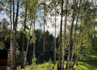 Сдаю дом, 50 м2, Республика Башкортостан, сад Лесная Сказка, 2А