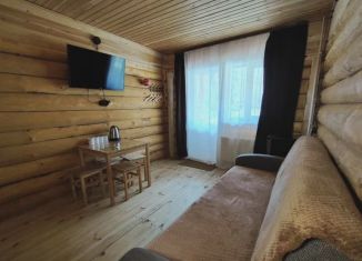 Аренда дома, 32 м2, село Чемал