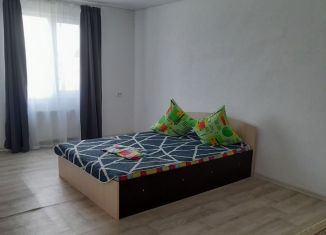 Дом в аренду, 150 м2, Соль-Илецк, Саратовская улица, 49