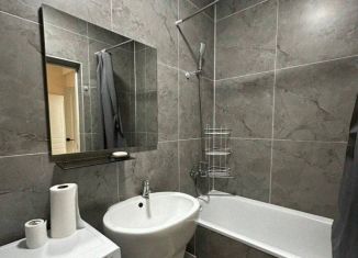 1-ком. квартира в аренду, 35 м2, Краснодар, улица имени Жлобы, 1/1, микрорайон Табачная Фабрика