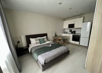 Квартира в аренду студия, 22 м2, посёлок Парголово, улица Михаила Дудина, 10