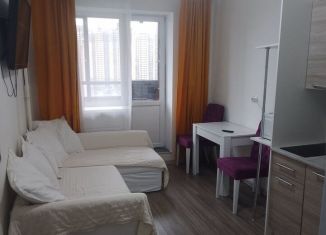 Аренда 1-комнатной квартиры, 36 м2, посёлок Парголово, улица Шишкина, 301