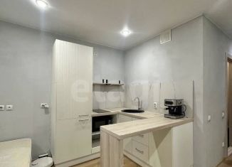 Продажа квартиры студии, 25.6 м2, Тюмень, Велижанская улица, 66к1, ЖК Заречный