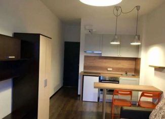 Сдается квартира студия, 23 м2, Санкт-Петербург, проспект Ветеранов, 171к4, муниципальный округ Сосновая Поляна