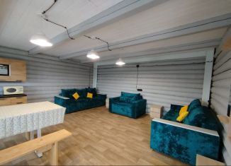 Сдам дом, 72 м2, деревня Курма, Прибрежная улица, 6