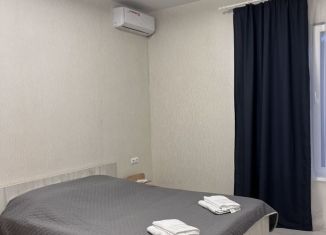 Сдача в аренду дома, 150 м2, Сочи, микрорайон Нижняя Хобза, Верхнехобзинская улица, 19/3