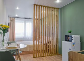 Аренда квартиры студии, 30 м2, Томск, Большая Подгорная улица, 87блок7, ЖК Большая Подгорная