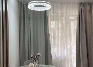 Сдам в аренду 1-комнатную квартиру, 33.8 м2, Санкт-Петербург, проспект Авиаконструкторов, муниципальный округ Юнтолово