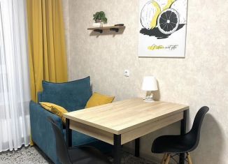 Сдается 1-комнатная квартира, 40 м2, Великий Новгород, Луговая улица, 2