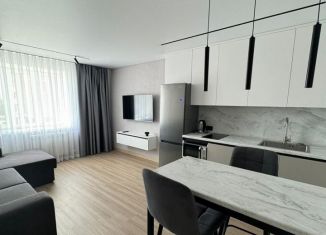 Сдается однокомнатная квартира, 44 м2, Благовещенск, Заводская улица, 4/4, ЖК Лазурный Берег