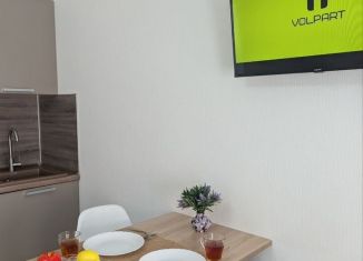 Сдается в аренду квартира студия, 30 м2, Санкт-Петербург, Верхне-Каменская улица, 9к1
