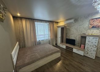 Сдача в аренду 1-комнатной квартиры, 52 м2, Рязань, Интернациональная улица, 16к6