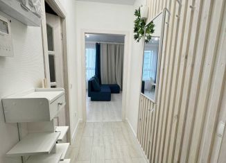 Аренда квартиры студии, 30.9 м2, Карелия, улица Тапиола, 1к1