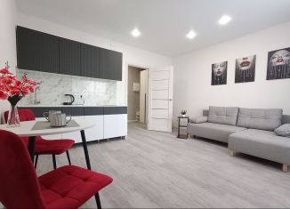 Продам квартиру студию, 26 м2, Мурино, Екатерининская улица, 17
