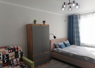 Сдача в аренду 1-комнатной квартиры, 32 м2, Ростов-на-Дону, проспект Солженицына, 13/2с1