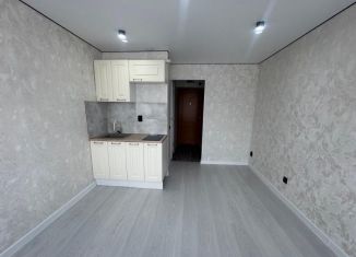 Продам квартиру студию, 18 м2, Нижний Новгород, улица Бекетова, 8А