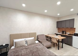 Сдается квартира студия, 26 м2, Краснодарский край, улица Искры, 88к3