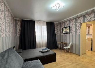 Сдача в аренду 1-комнатной квартиры, 40 м2, Оренбург, улица Аксакова