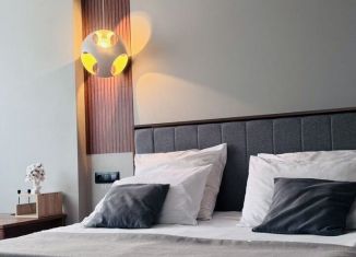 Сдаю в аренду однокомнатную квартиру, 50 м2, Саратов, Рабочая улица, 49