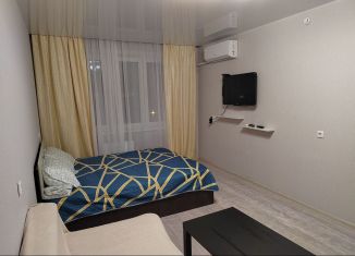 Сдам 1-комнатную квартиру, 38 м2, Ростов-на-Дону, переулок Андреева, 4/9