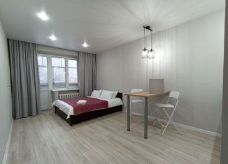 Сдаю в аренду квартиру студию, 25 м2, Элиста, улица Юрия Клыкова, 22