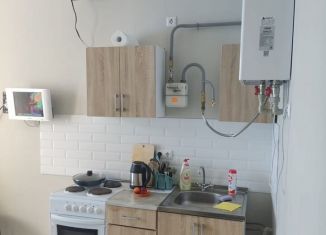 Сдам в аренду квартиру студию, 28 м2, Краснодарский край, Пластунская улица, 234А