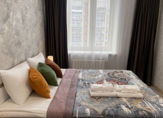 Сдам в аренду однокомнатную квартиру, 50 м2, Чебоксары, улица Петра Ермолаева
