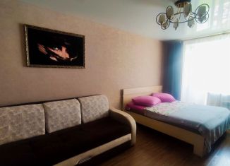 1-комнатная квартира в аренду, 40 м2, Пенза, улица Чкалова, 19/22