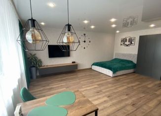 Аренда квартиры студии, 40 м2, Карелия, улица Рудакова, 8