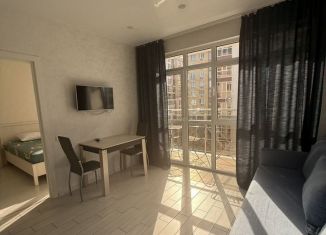 Сдаю 1-ком. квартиру, 42 м2, Сочи, Волжская улица, 34/3, микрорайон Мамайка