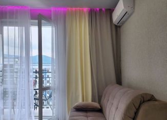 Аренда квартиры студии, 25.9 м2, Сочи, улица Искры, 88, микрорайон Кудепста