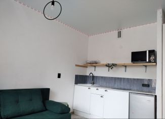 Аренда квартиры студии, 22 м2, Мурино, улица Шувалова, 16/9, ЖК Созвездие