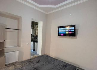 Сдается однокомнатная квартира, 30 м2, Майкоп, улица Ленина, 45