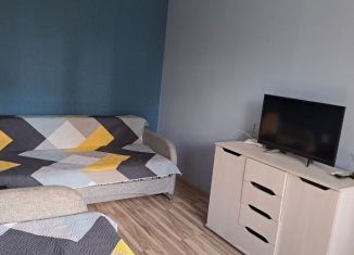 Сдаю 1-ком. квартиру, 29 м2, Карелия, Мурманская улица, 10