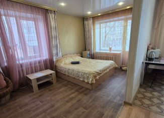 Сдается в аренду однокомнатная квартира, 30 м2, Свободный, улица Ленина, 21