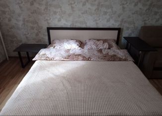 Сдаю 1-комнатную квартиру, 46 м2, Тверь, улица Марии Смирновой, 5