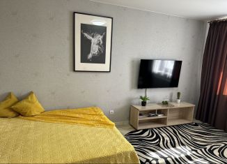 Сдам в аренду 1-комнатную квартиру, 32 м2, Йошкар-Ола, улица Чернякова, 5