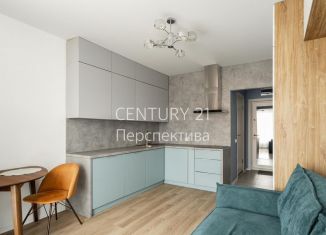 Продаю квартиру студию, 20 м2, Люберцы, улица Лётчика Ларюшина, 4к2, ЖК Жулебино Парк