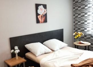 Аренда 1-комнатной квартиры, 35 м2, Йошкар-Ола, Комсомольская улица, 38Б, микрорайон Оршанский