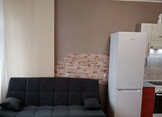 Сдам квартиру студию, 34 м2, Новосибирск, улица Тюленина, 26