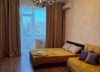 Сдам квартиру студию, 43 м2, Саратов, улица имени И.В. Мичурина, 47/41