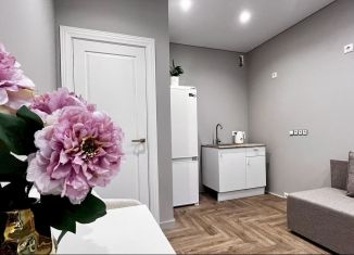 Продаю 1-ком. квартиру, 38.7 м2, Санкт-Петербург, Измайловский бульвар, 9, ЖК Галактика