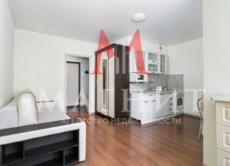 Продажа квартиры студии, 27.3 м2, Санкт-Петербург, бульвар Головнина, 10, Василеостровский район