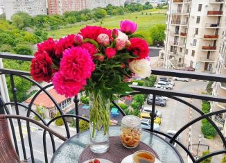 Сдам в аренду 1-ком. квартиру, 50 м2, Геленджик, Крымская улица, 22к1